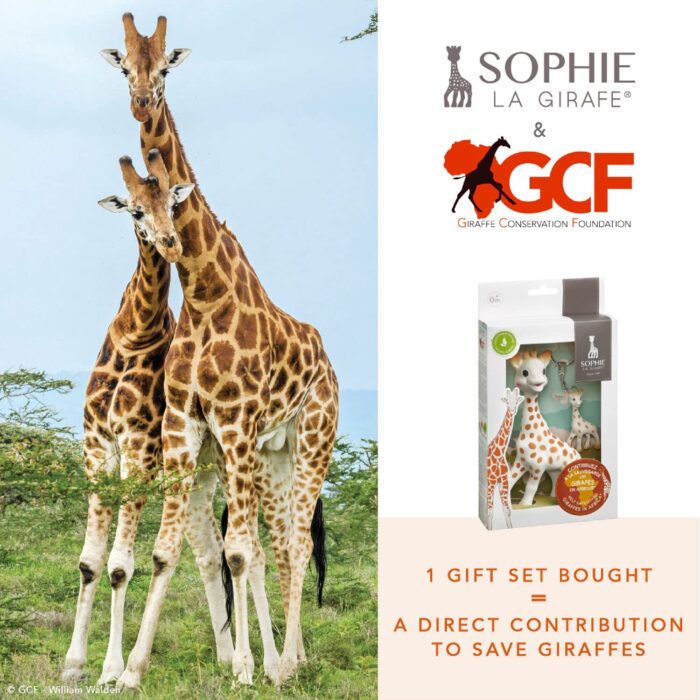 Sophie la girafe | Natural Rubber | Designed for Teething Babies - Image 2